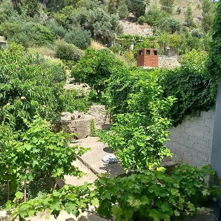 Andrea Apartman